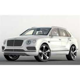 Bentley  - Bentayga 2016 white satin - 1:43 - Almost Real - ALM430206 - ALM430206 | The Diecast Company