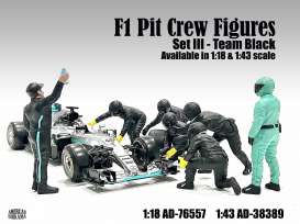 Figures diorama - Team Black #3 2020 silver - 1:43 - American Diorama - 38389 - AD38389 | The Diecast Company