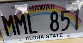 Funny Plates  - Hawaii MML-851  - Tac Signs - funHawaii | The Diecast Company