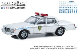 Chevrolet  - Caprice 1989  - 1:64 - GreenLight - 42774 - gl42774 | The Diecast Company