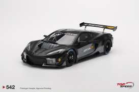 Chevrolet  - corvette Z06 2023 black - 1:18 - Top Speed - TS0542 - TS0542 | The Diecast Company