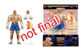 Figures  - Sagat various - Jada Toys - 253252050 - jada253252050 | The Diecast Company