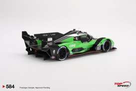 Lamborghini  - SC63 2024 green/black - 1:18 - Top Speed - TS0584 - TS0584 | The Diecast Company